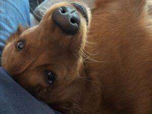 Riley’s Best Day Ever – Wed Jan 31, 2024