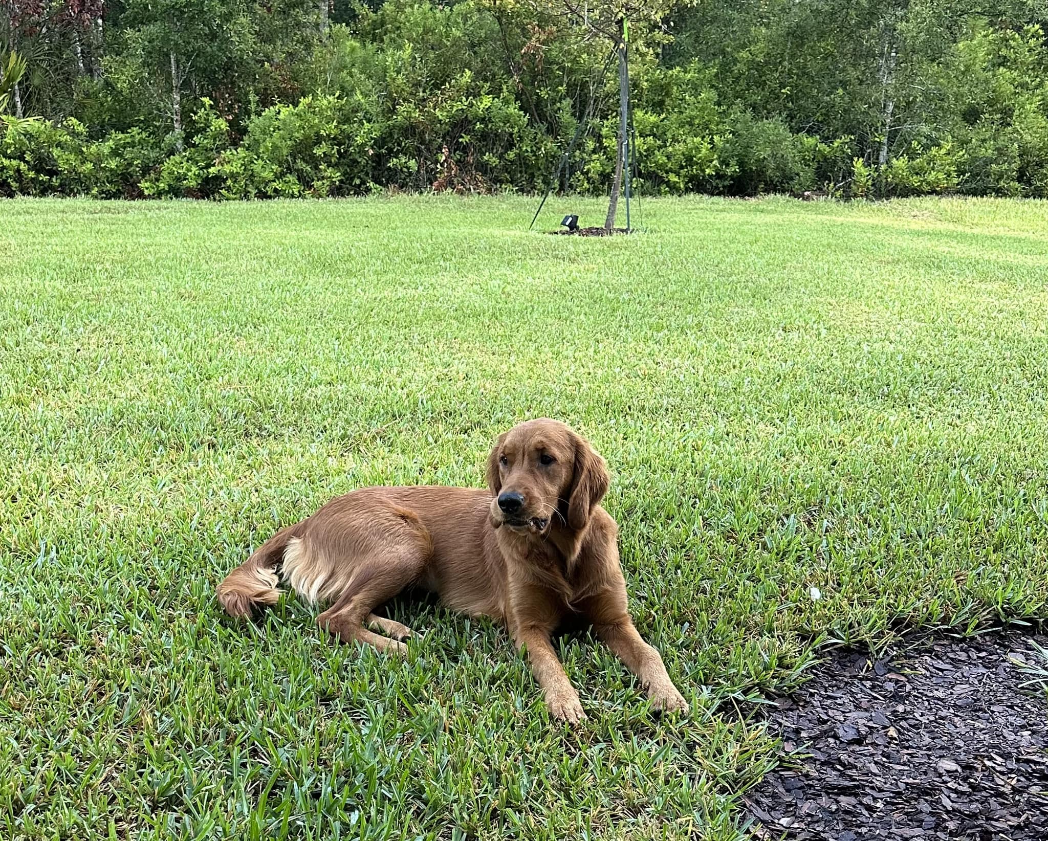 Riley’s Best Day Ever – Thu Nov 2, 2023