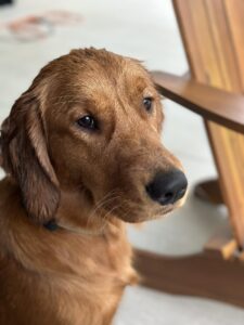 Riley’s Best Day Ever – Sun Nov 5, 2023
