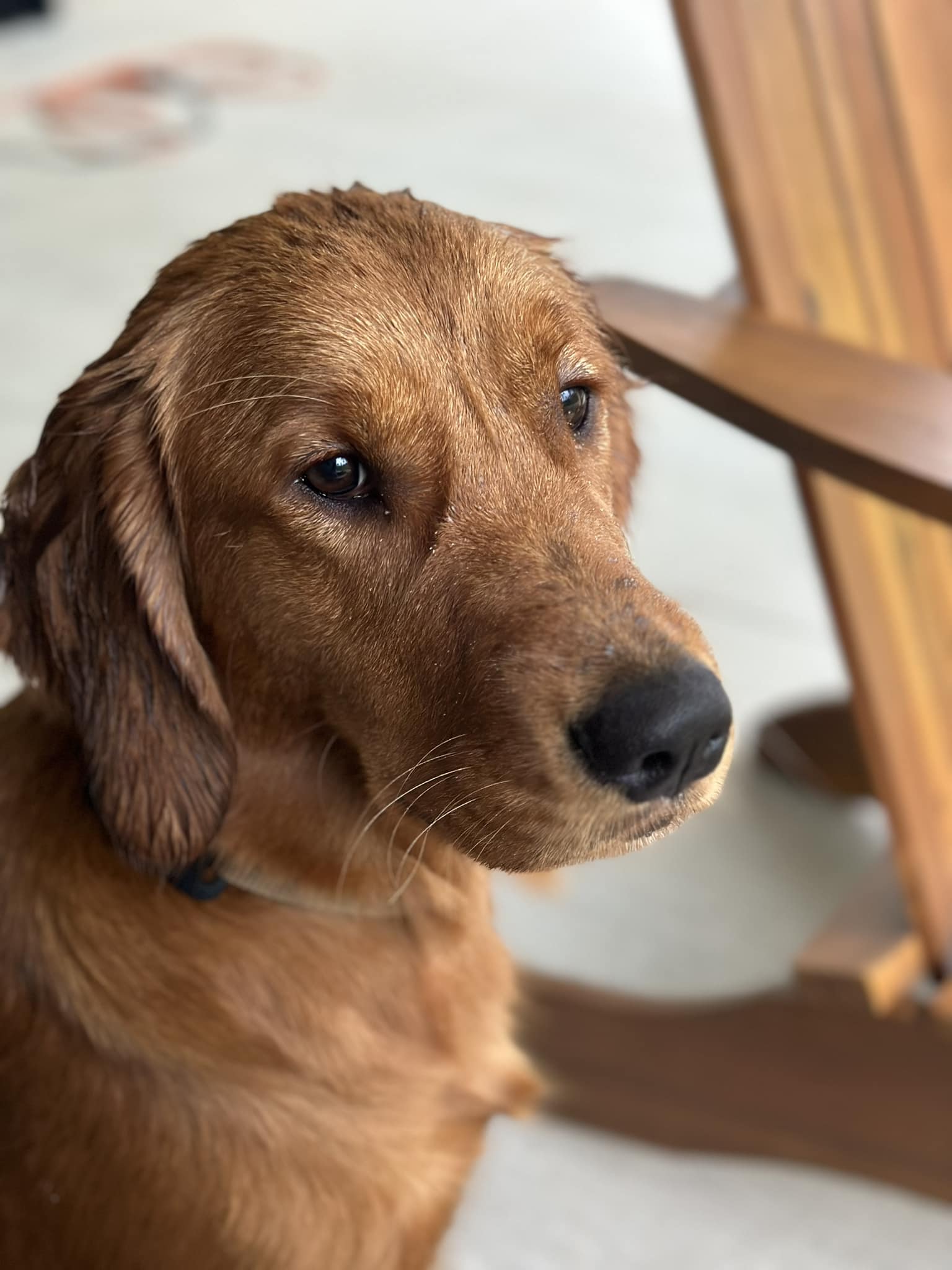 Riley’s Best Day Ever – Sun Nov 5, 2023