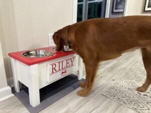 Riley’s Best Day Ever – Thu Apr 04, 2024
