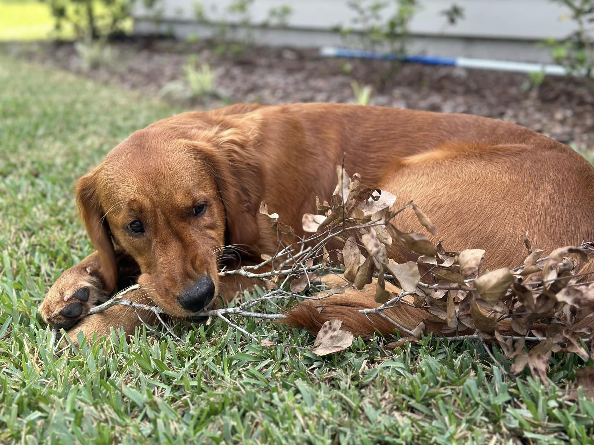 Riley’s Best Day Ever – Sun Apr 07, 2024