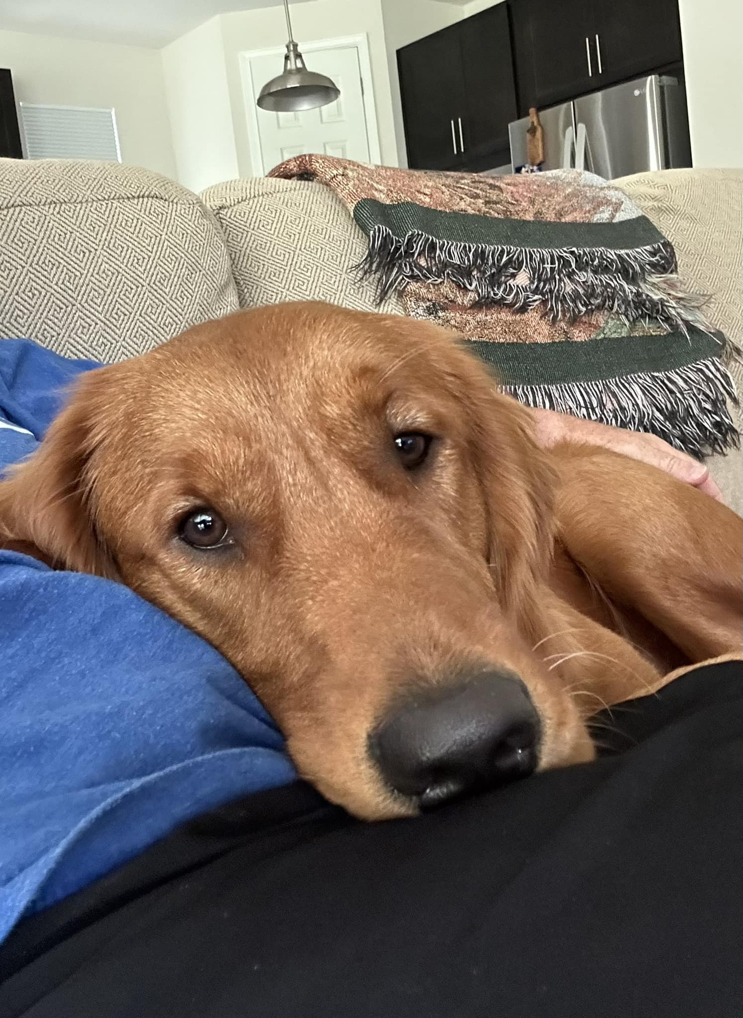 Riley’s Best Day Ever – Mon Apr 08, 2024
