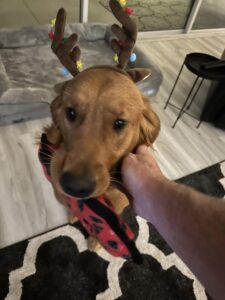 Riley’s Best Day Ever – Wed Apr 10, 2024