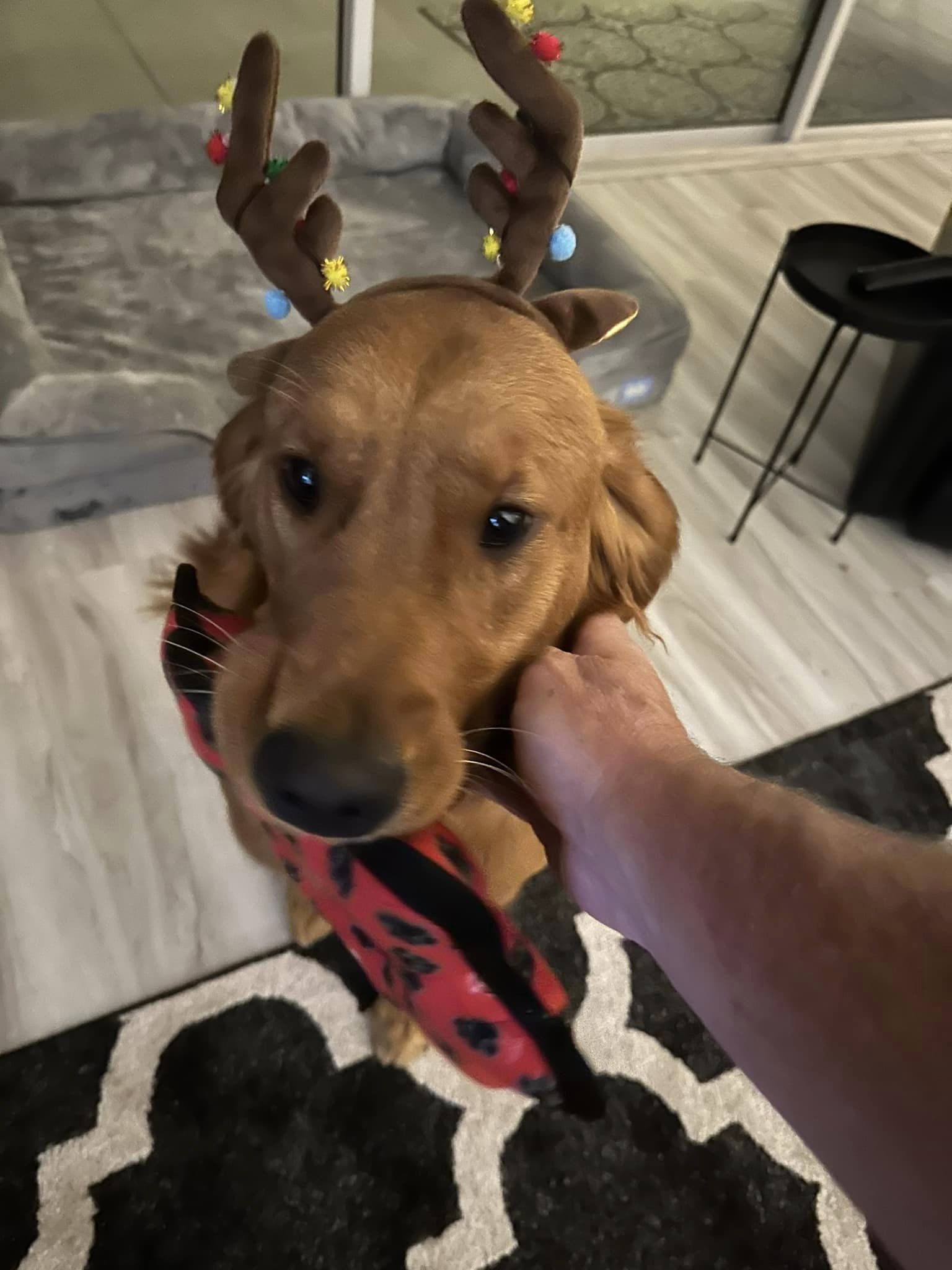 Riley’s Best Day Ever – Wed Apr 10, 2024