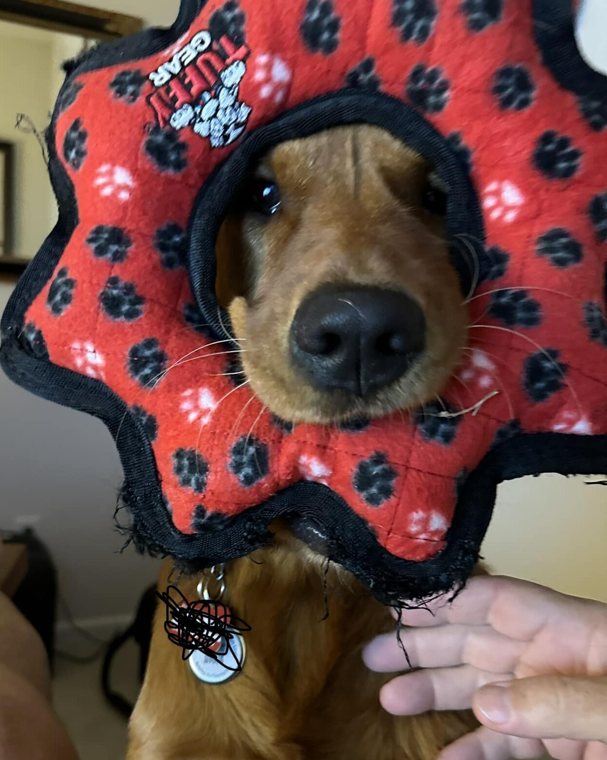 The “Best Of” Riley’s Posts – April 2024