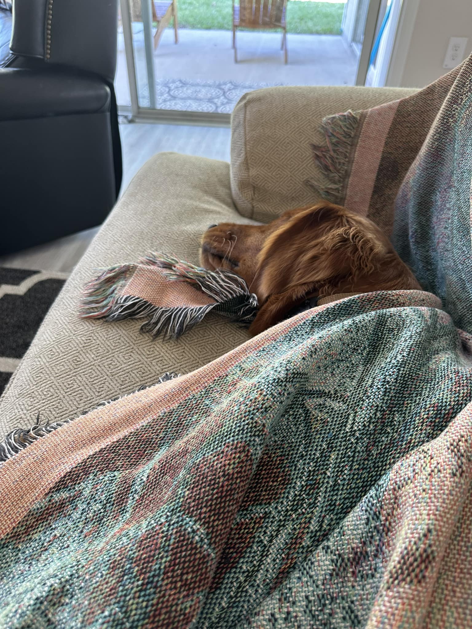 Riley’s Best Day Ever – Mon Apr 29, 2024