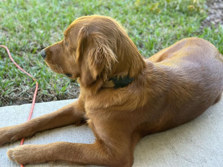 Riley’s Best Day Ever – Tue Apr 30, 2024
