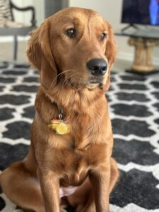 Riley’s Best Day Ever – Mon Apr 15, 2024