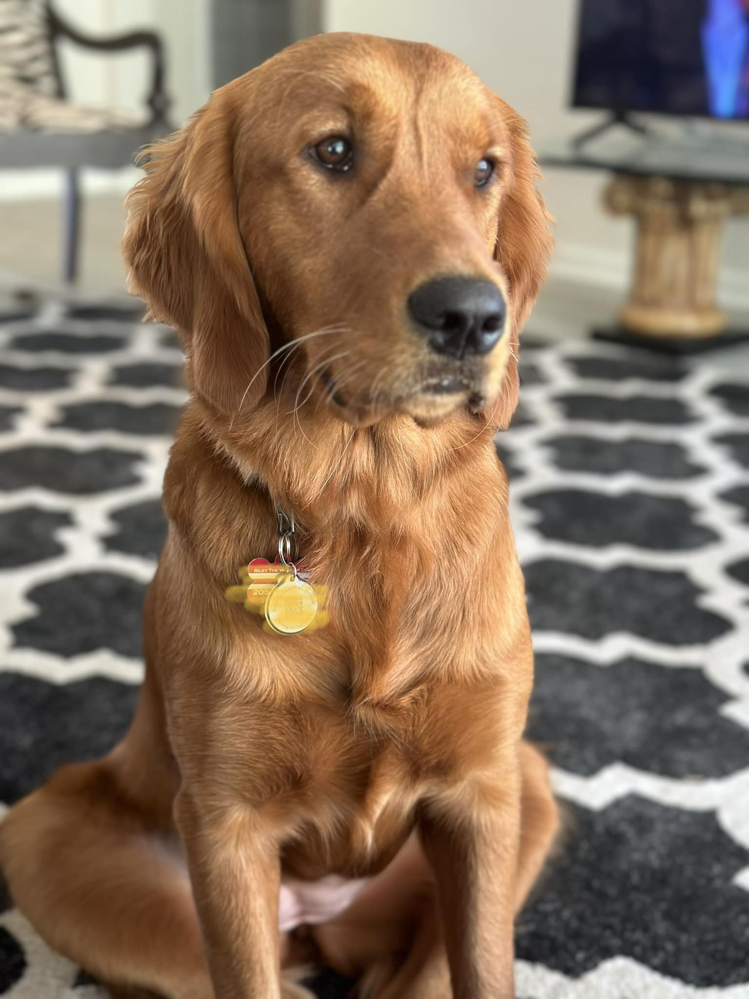 Riley’s Best Day Ever – Mon Apr 15, 2024