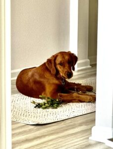 Riley’s Best Day Ever – Tue Apr 16, 2024