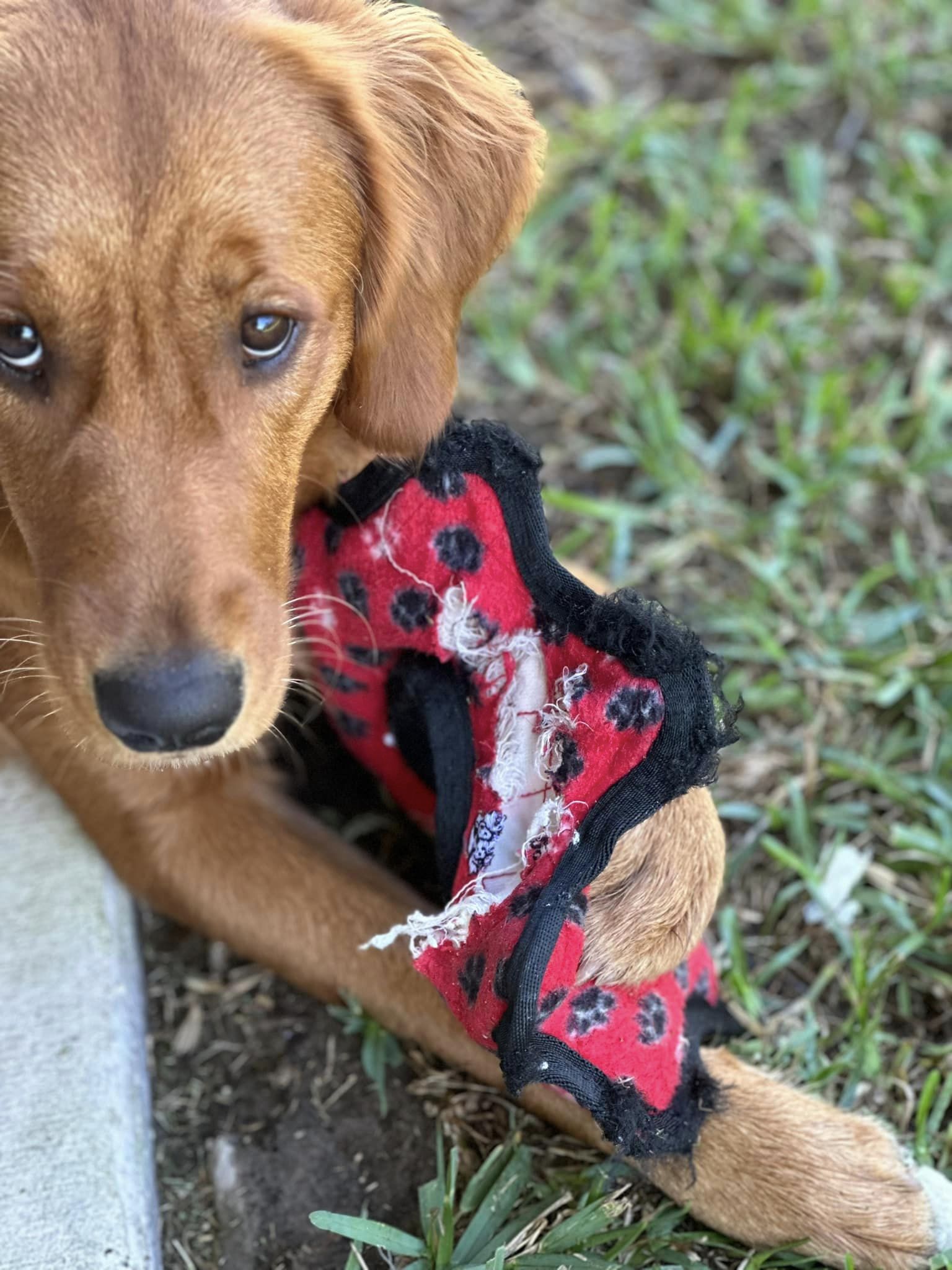 Riley’s Best Day Ever – Wed Apr 17, 2024