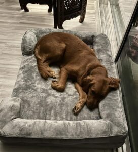 Riley’s Best Day Ever – Fri Apr 19, 2024