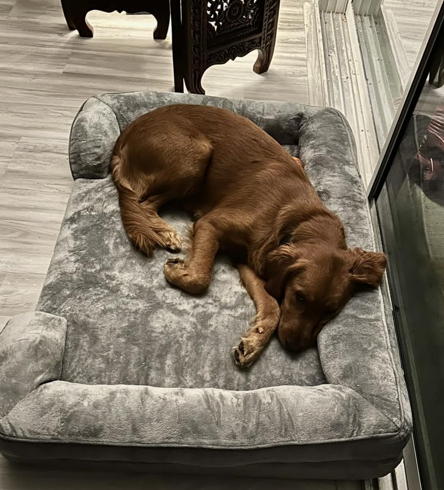 Riley’s Best Day Ever – Fri Apr 19, 2024