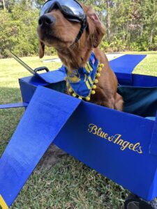 Riley’s Best Day Ever – Sun Apr 21, 2024