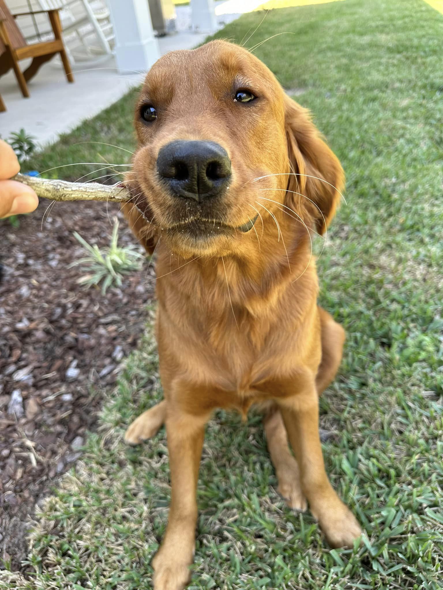 Riley’s Best Day Ever – Mon Apr 22, 2024