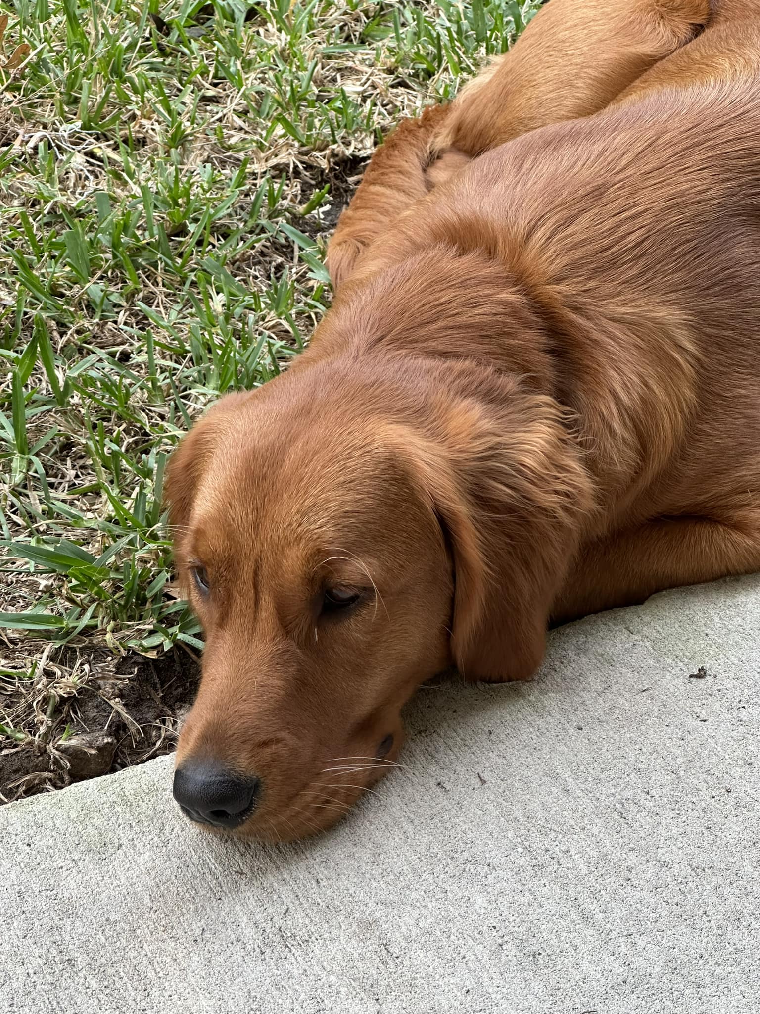 Riley’s Best Day Ever – Thu Apr 11, 2024