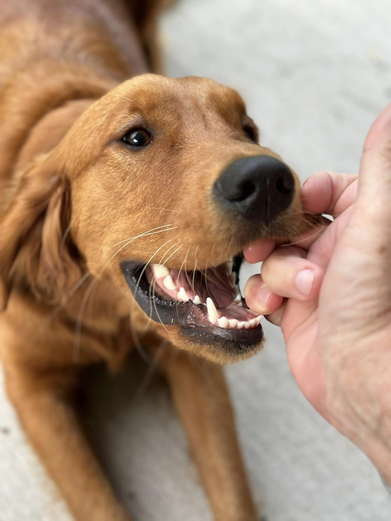 Riley’s Best Day Ever – Sat Apr 13, 2024