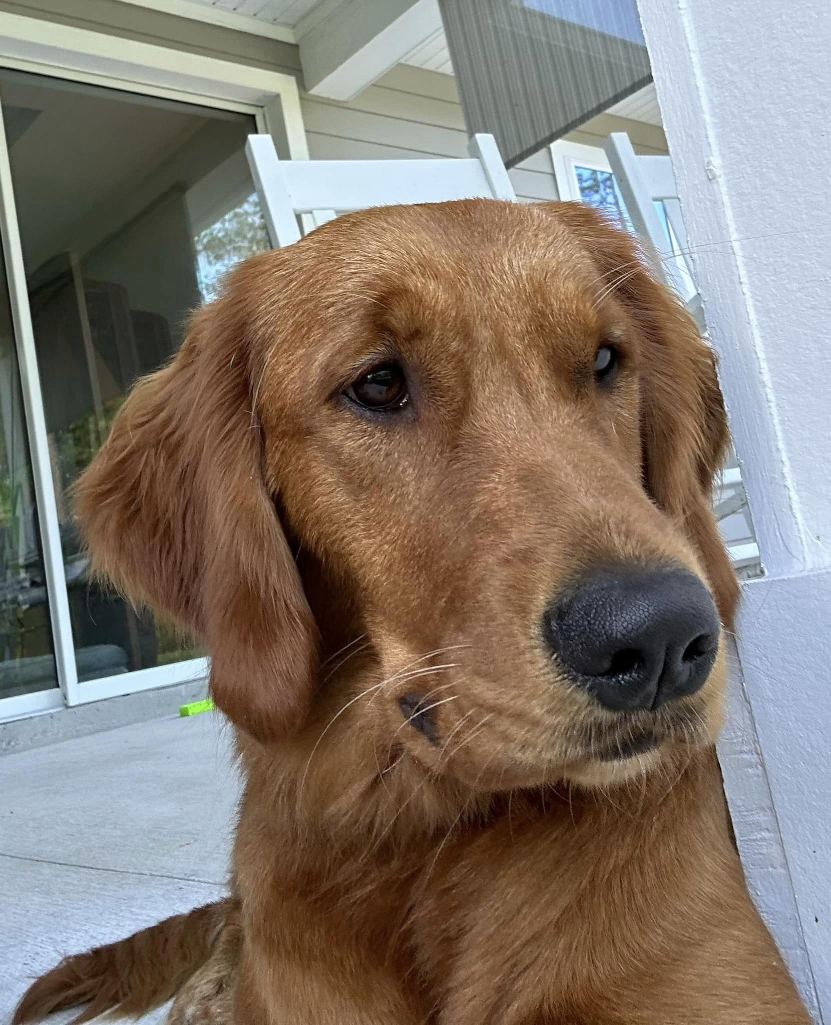 Riley’s Best Day Ever – Thu Apr 25, 2024