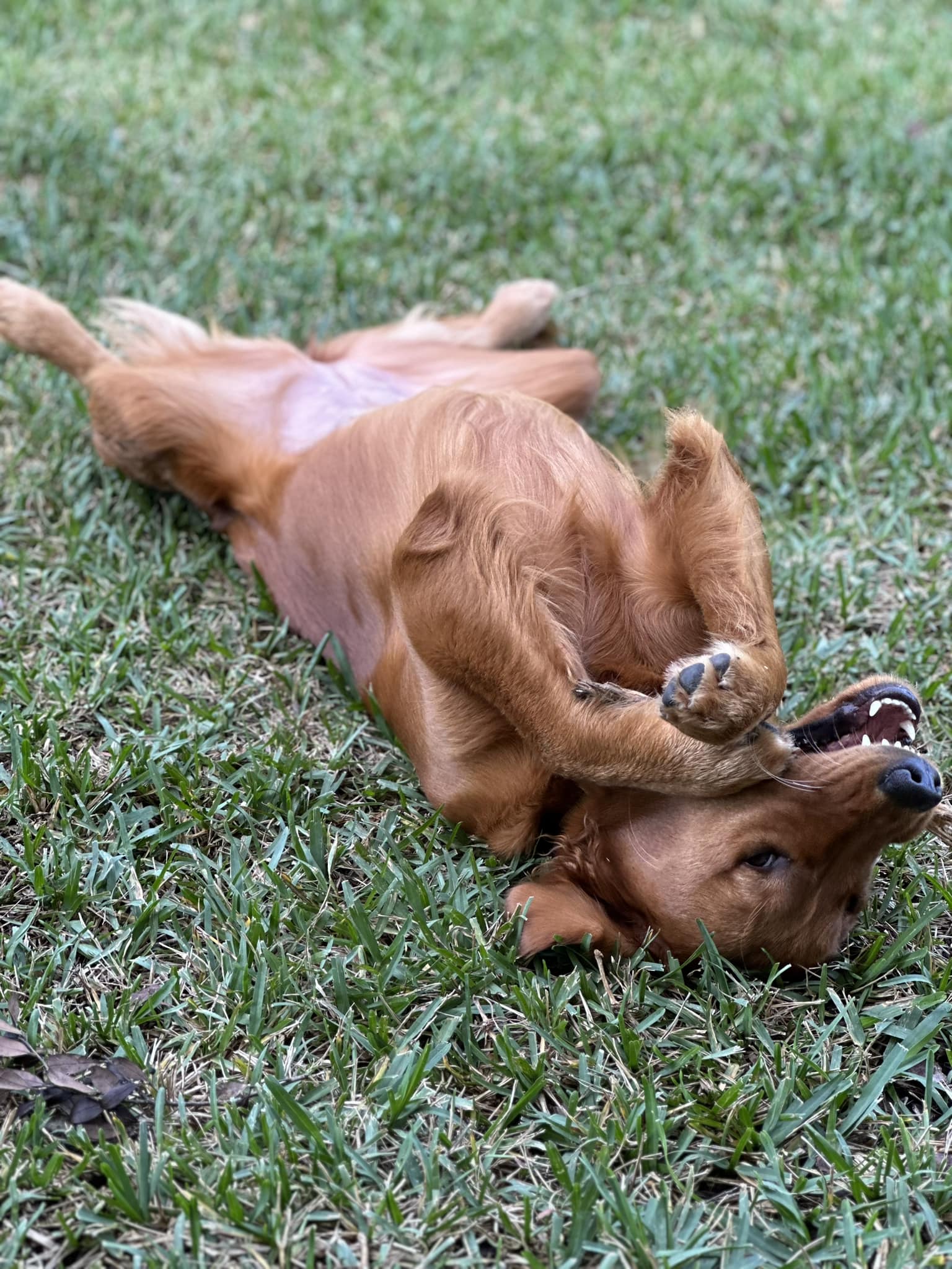 Riley’s Best Day Ever – Wed May 1, 2024