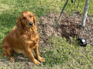 Riley’s Best Day Ever – Fri Apr 26, 2024