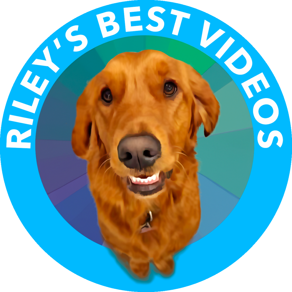Riley's Best Videos Image