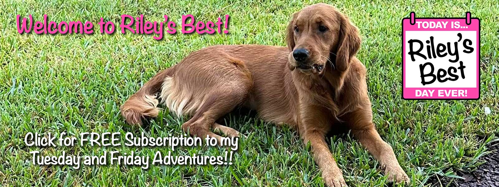 Riley's Best - Be My Neighbor!