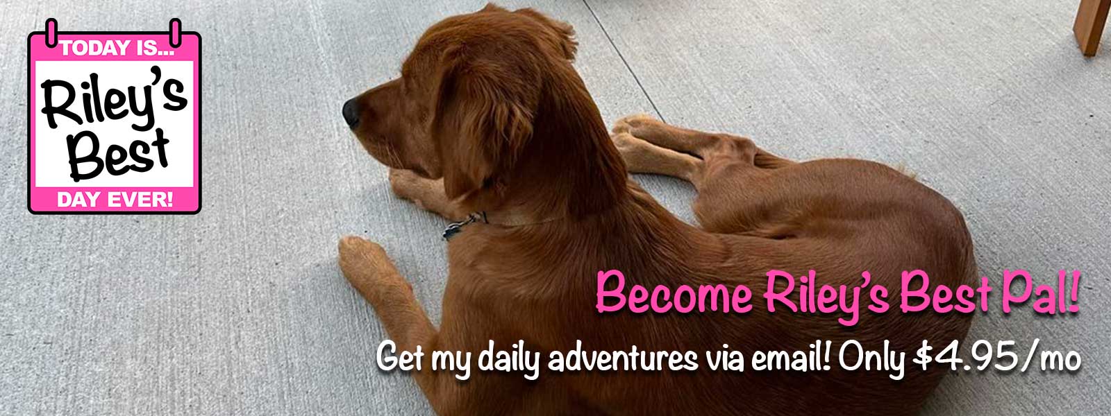 Riley's Best - Be My Pal!