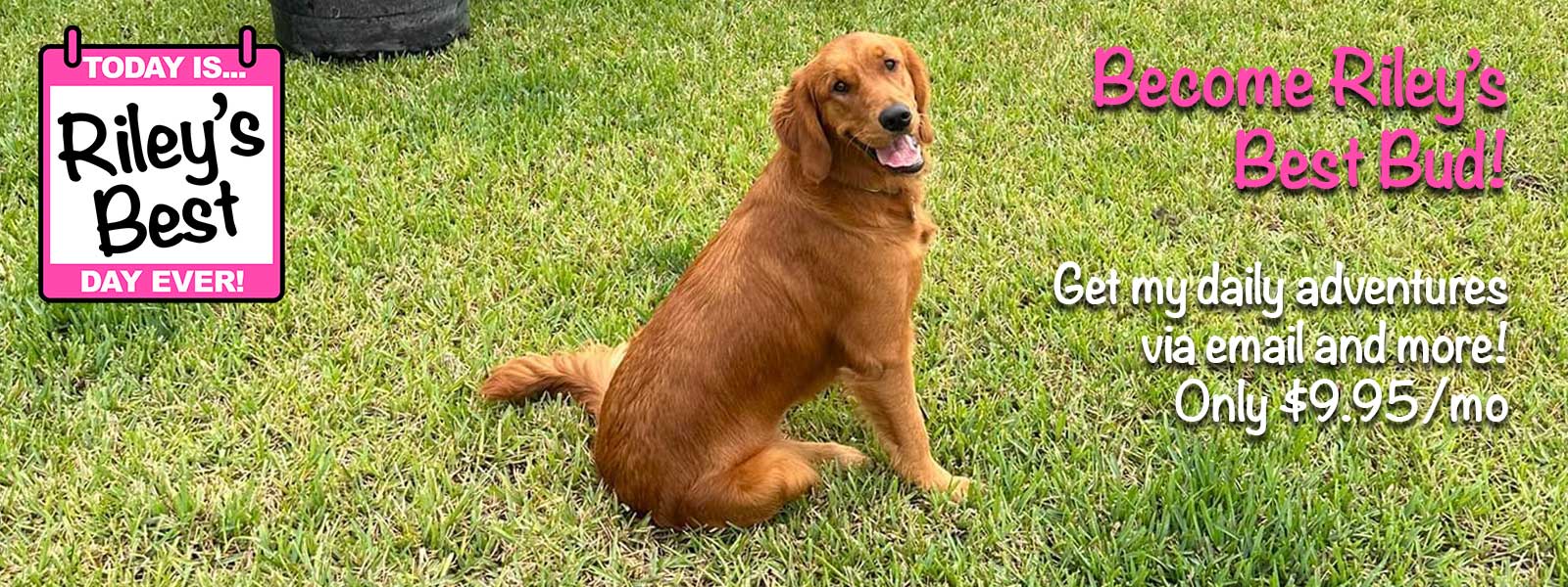 Riley's Best - Be My Bud!