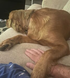 Riley’s Best Day Ever – Thu May 2, 2024