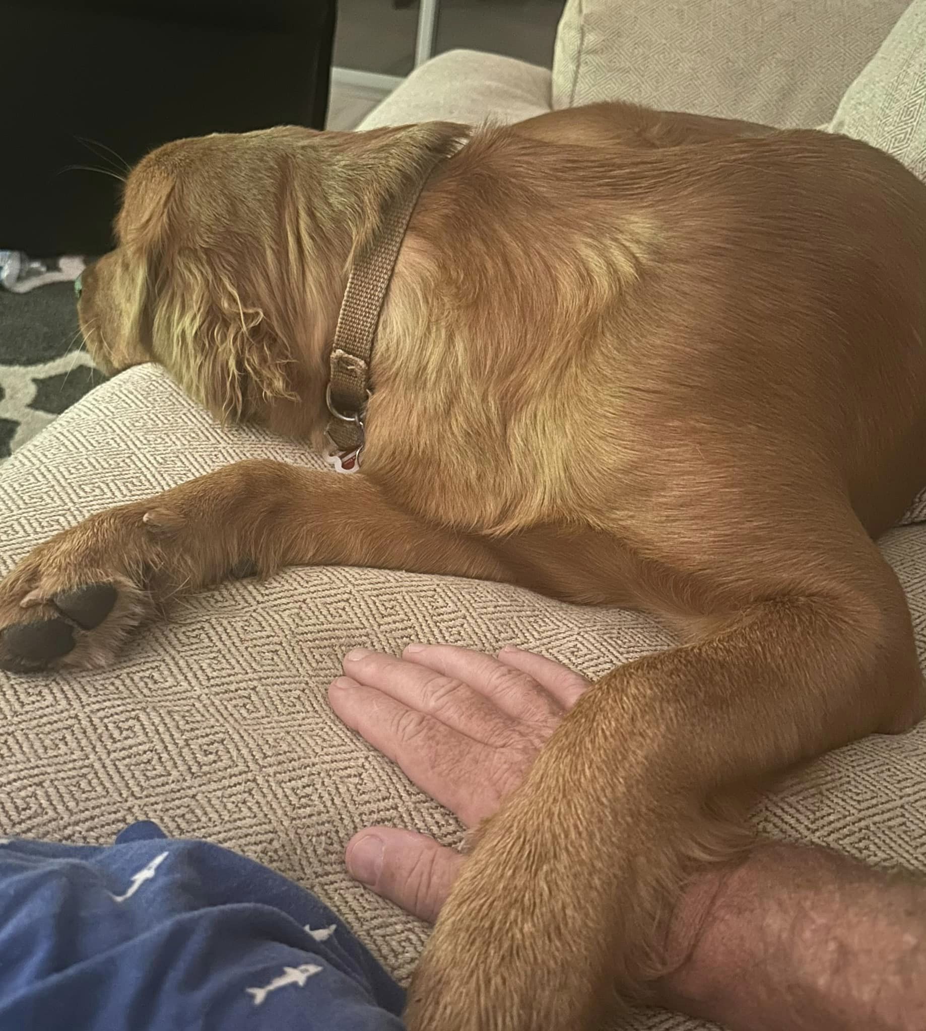 Riley’s Best Day Ever – Thu May 2, 2024