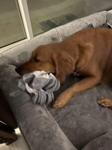 Riley’s Best Day Ever – Fri May 3, 2024
