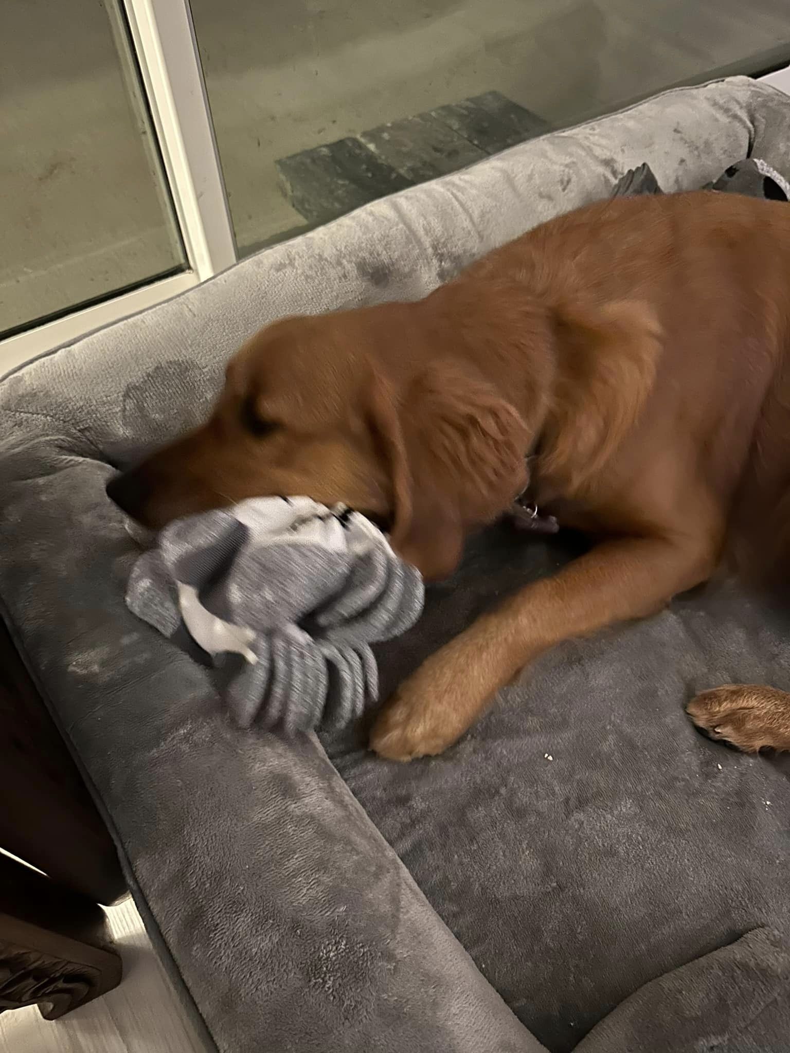 Riley’s Best Day Ever – Fri May 3, 2024