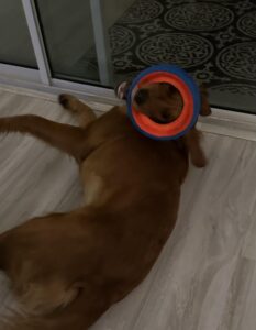 Riley’s Best Day Ever – Fri June 14, 2024