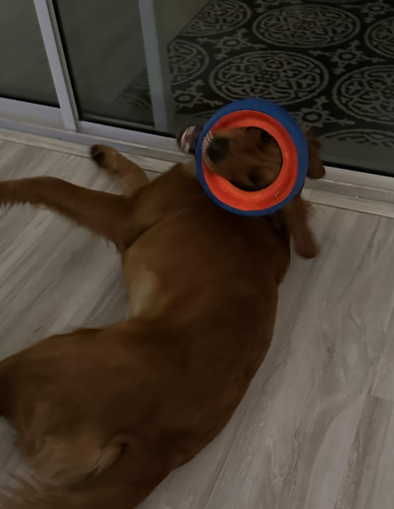 Riley’s Best Day Ever – Fri June 14, 2024
