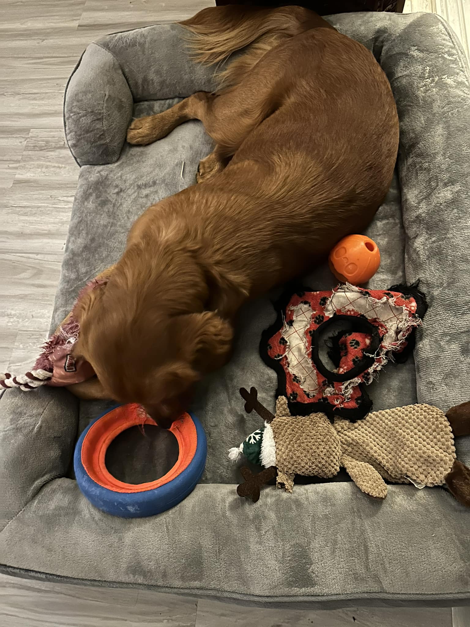 Riley’s Best Day Ever – Mon May 6, 2024