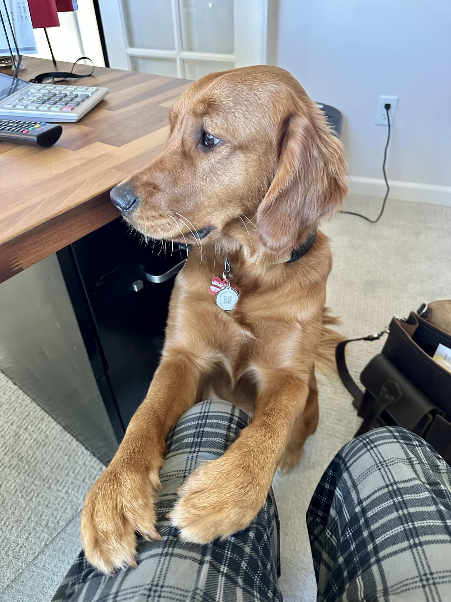 Riley’s Best Day Ever – Tue May 7, 2024