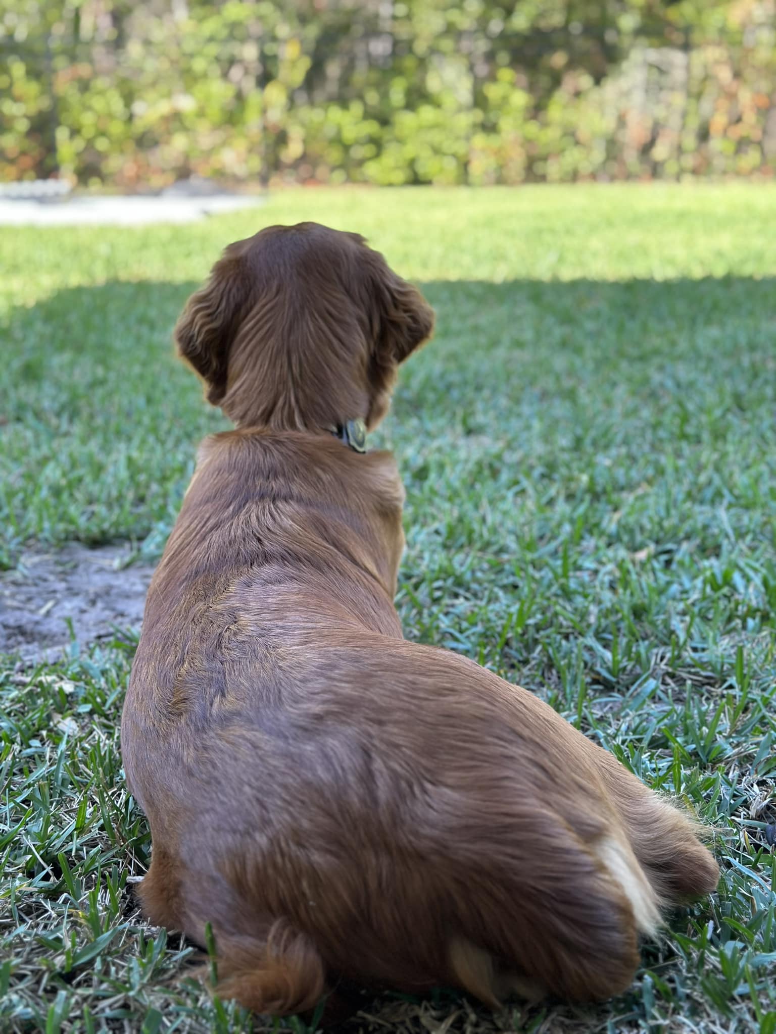 Riley’s Best Day Ever – Wed May 8, 2024