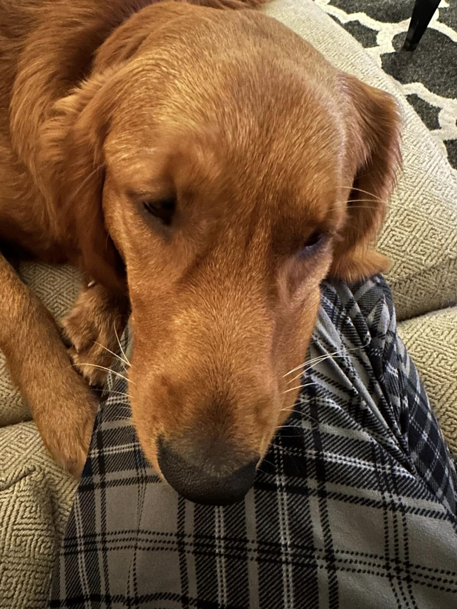 Riley’s Best Day Ever – Mon May 13, 2024