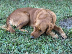 Riley’s Best Day Ever – Wed May 15, 2024
