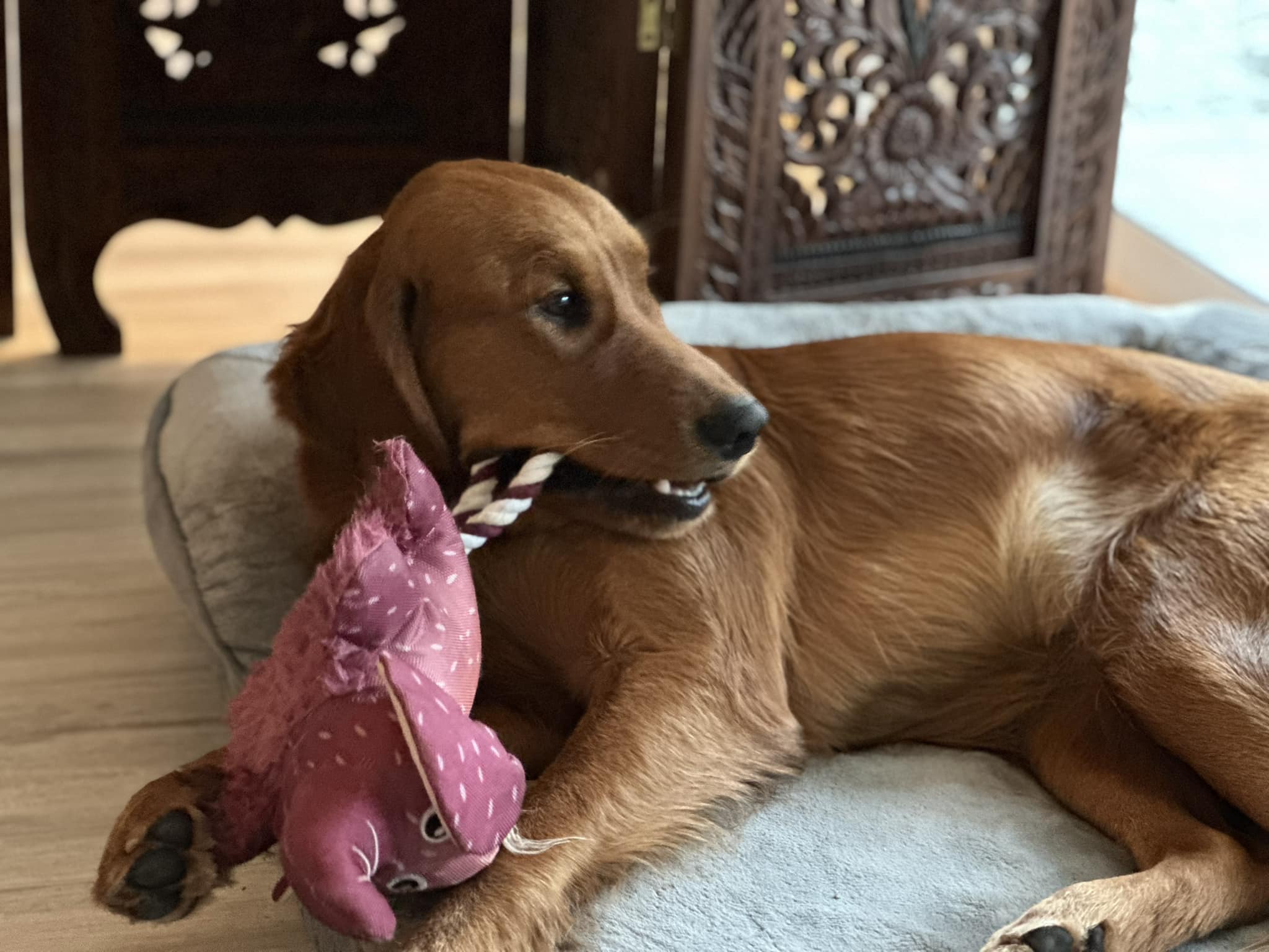 Riley’s Best Day Ever – Thu May 16, 2024
