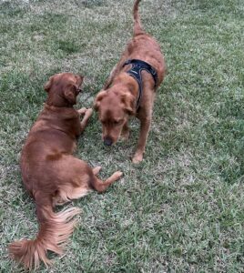 Riley’s Best Day Ever – Sun May 19, 2024