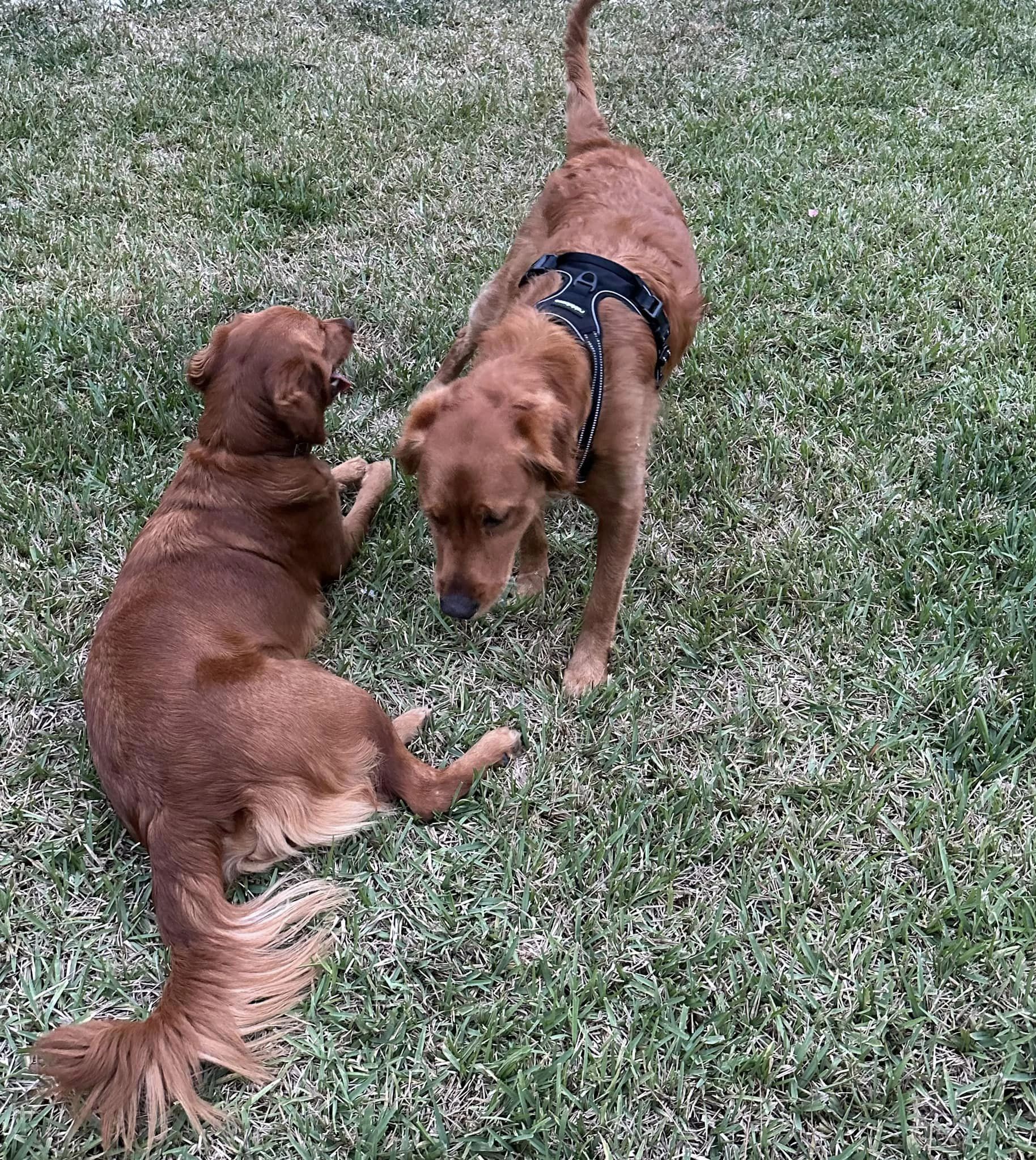 Riley’s Best Day Ever – Sun May 19, 2024