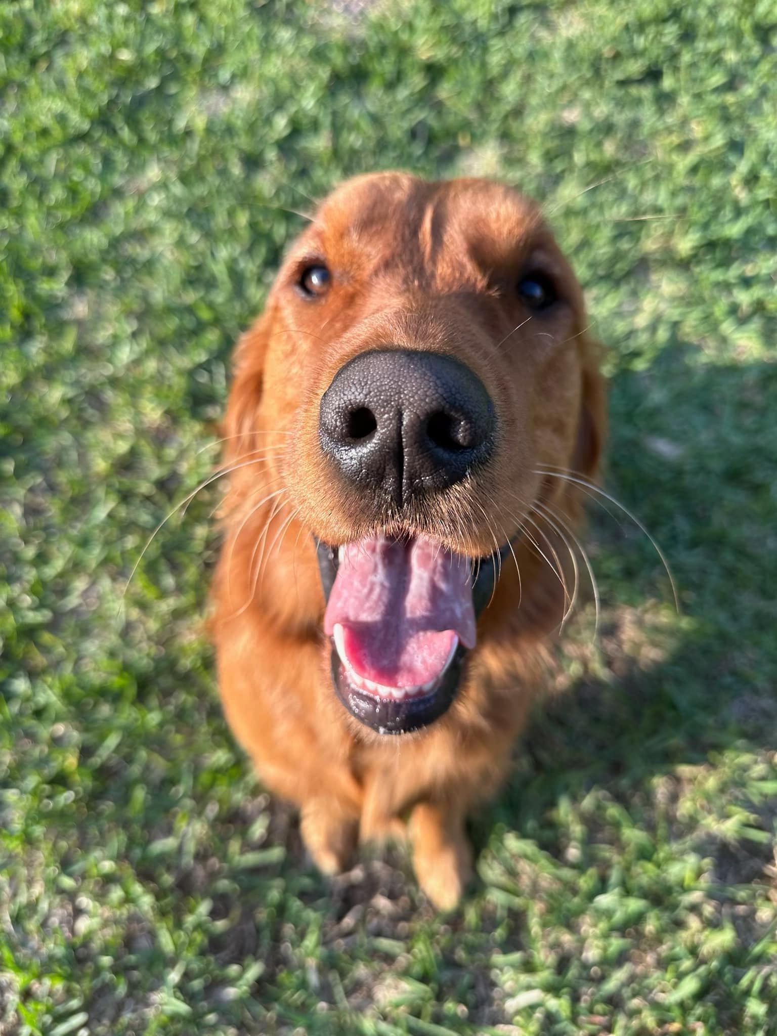Riley’s Best Day Ever – Tue May 21, 2024