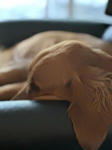 Riley’s Best Day Ever – Wed May 22, 2024