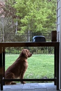 Riley’s Best Day Ever – Thu May 23, 2024