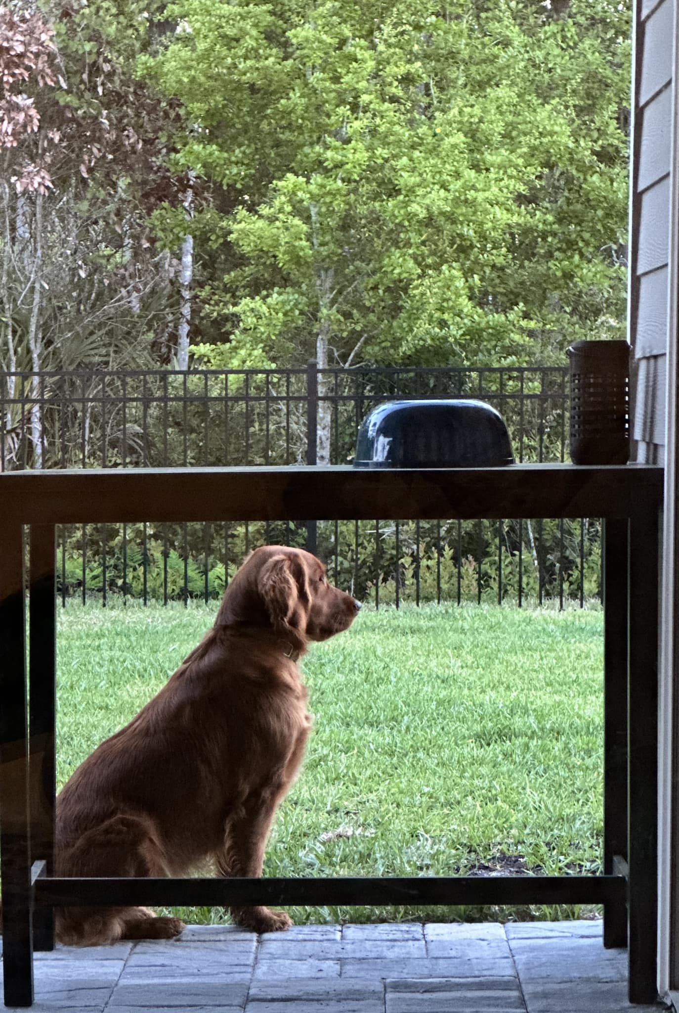 Riley’s Best Day Ever – Thu May 23, 2024
