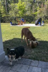Riley’s Best Day Ever – Sat May 25, 2024