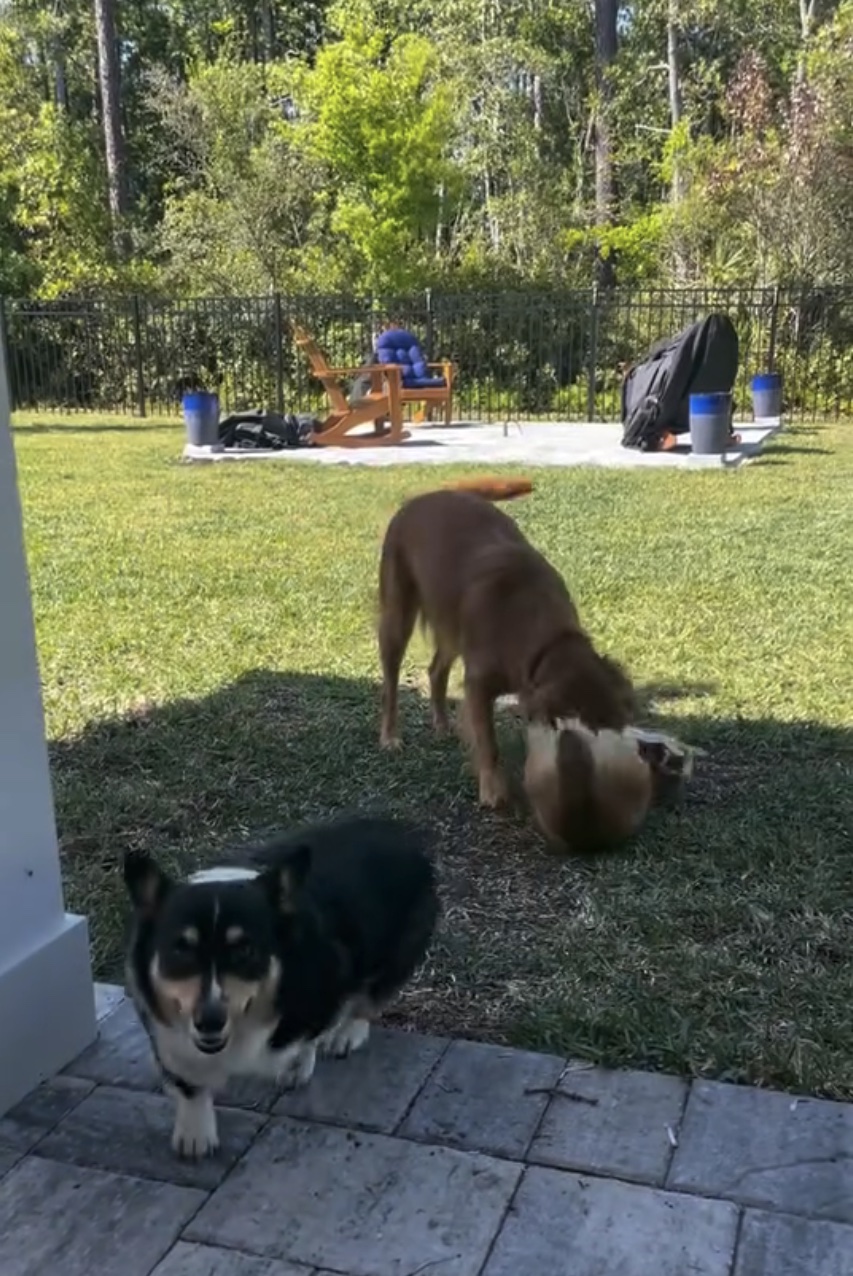 Riley’s Best Day Ever – Sat May 25, 2024