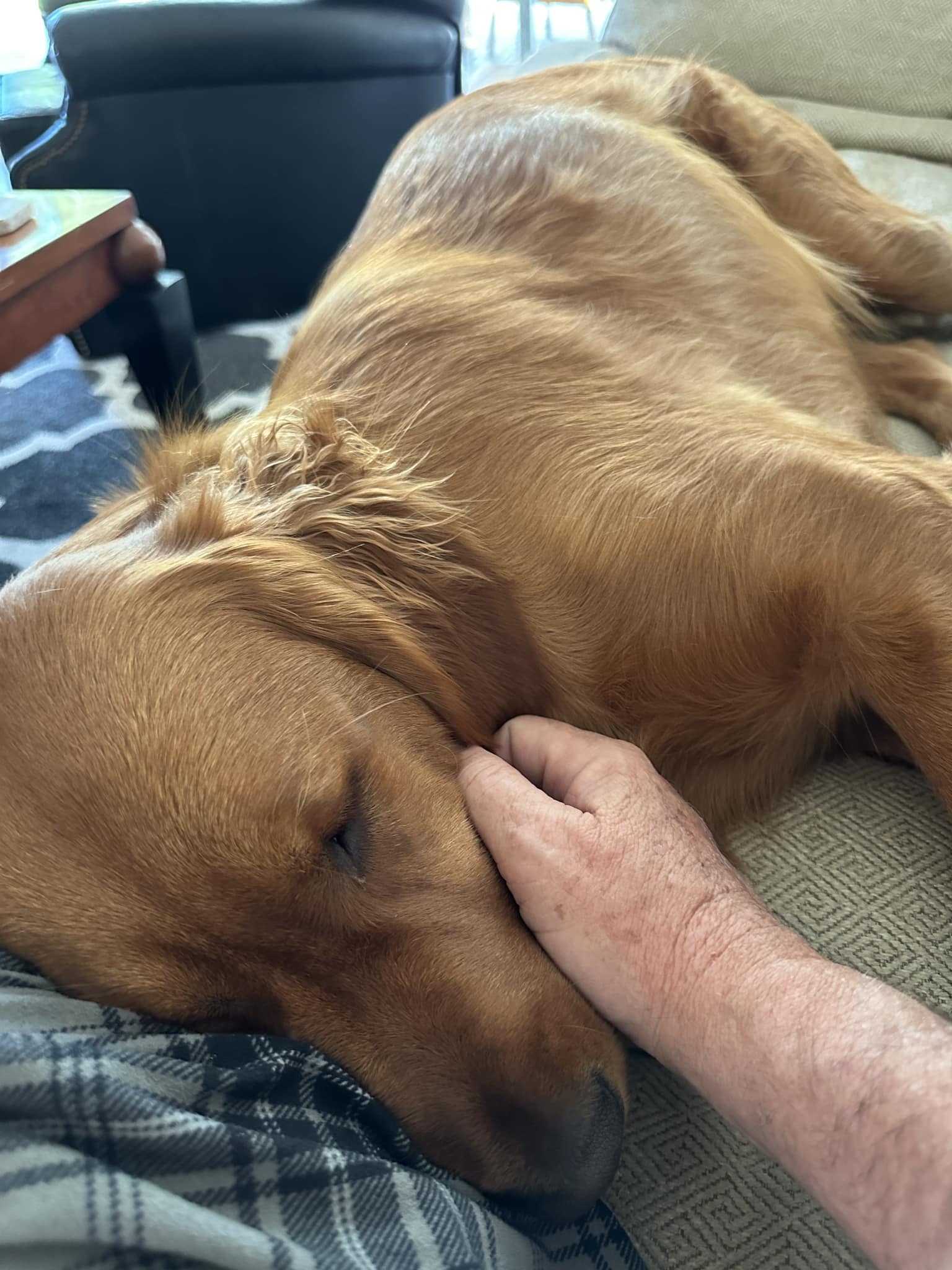 Riley’s Best Day Ever – Sun May 26, 2024